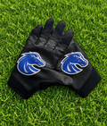 BOISE STATE
