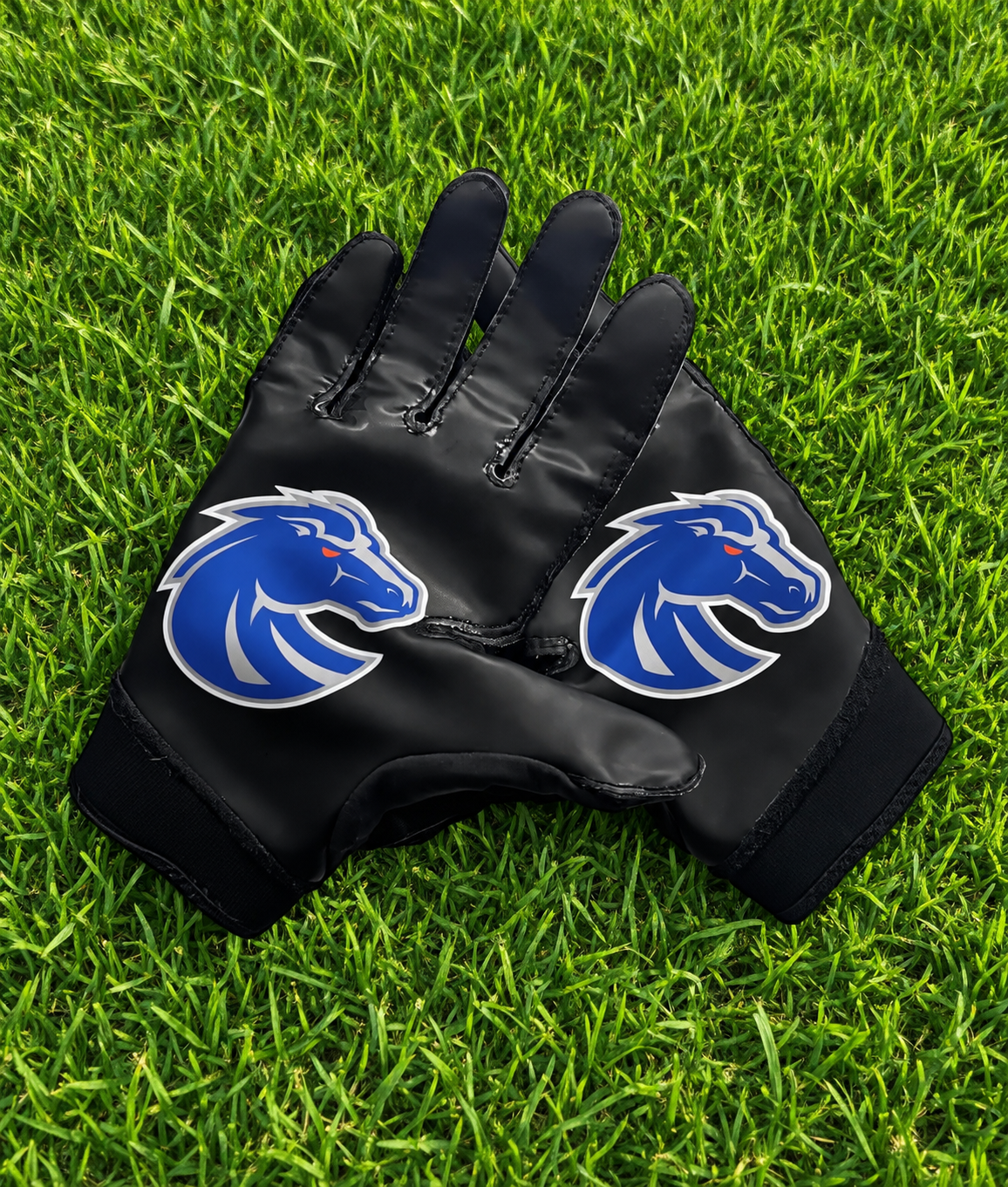 BOISE STATE