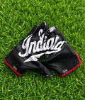 INDIANA