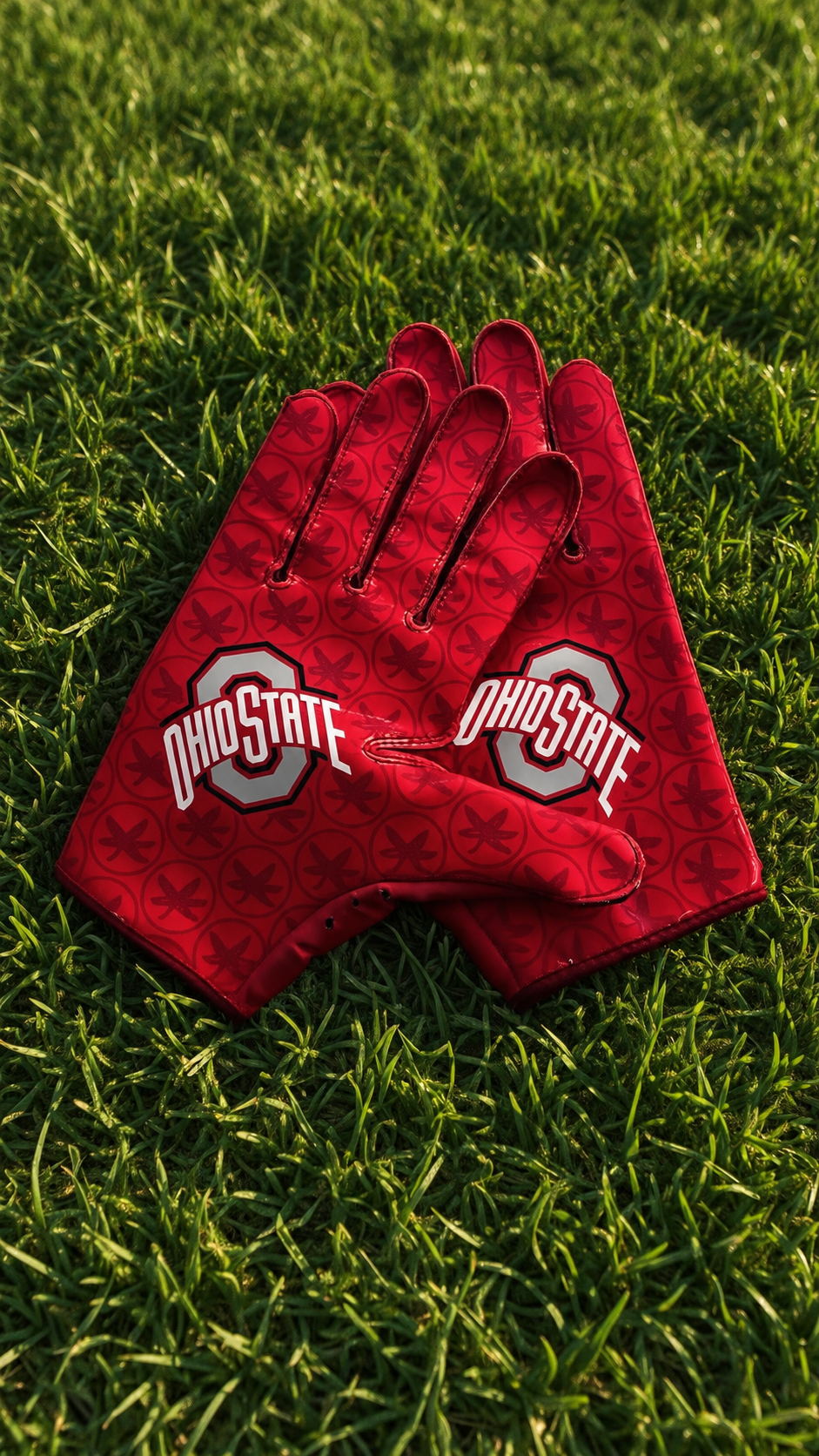 OHIO STATE