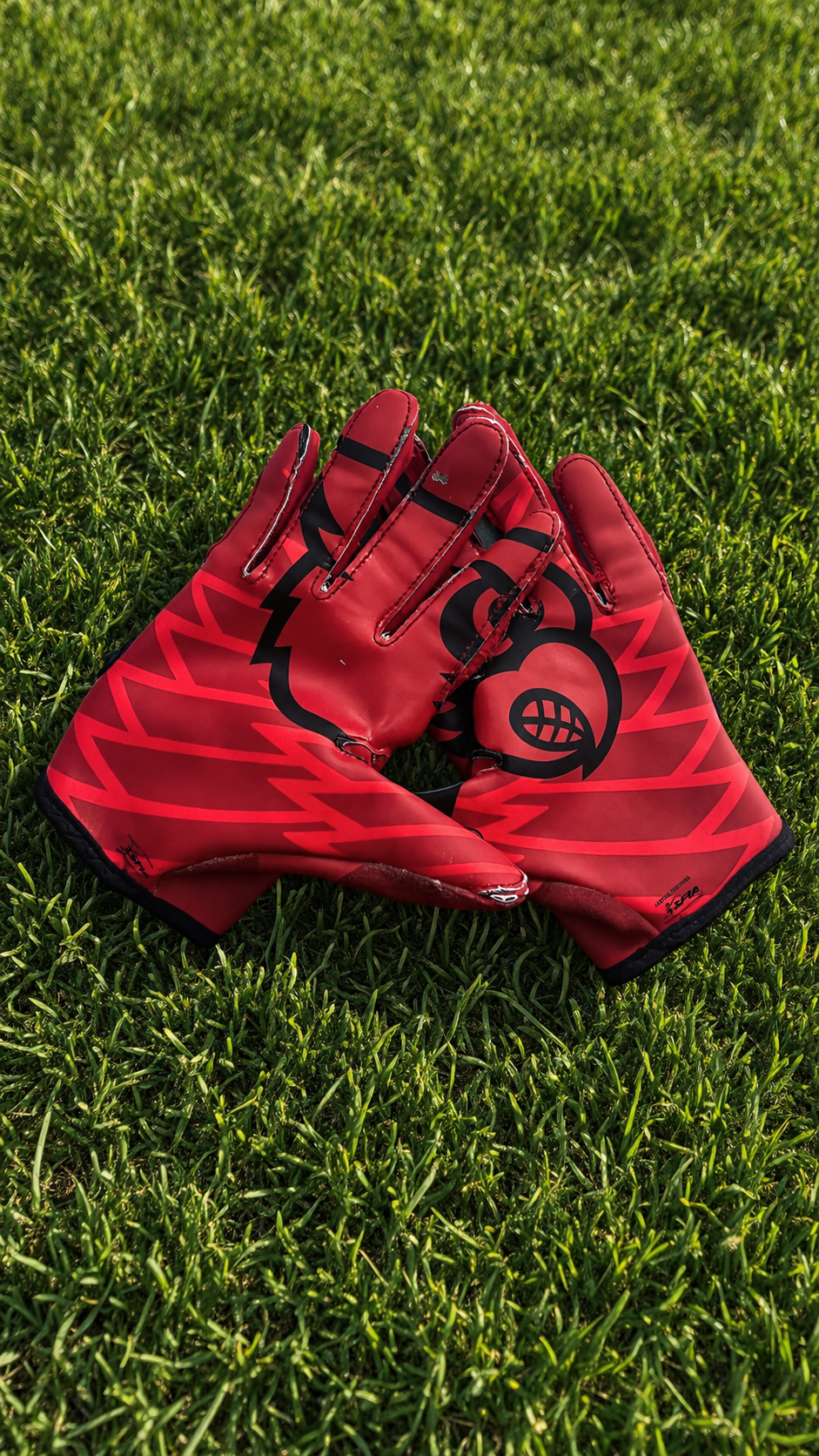 LOUISVILLE (RED)
