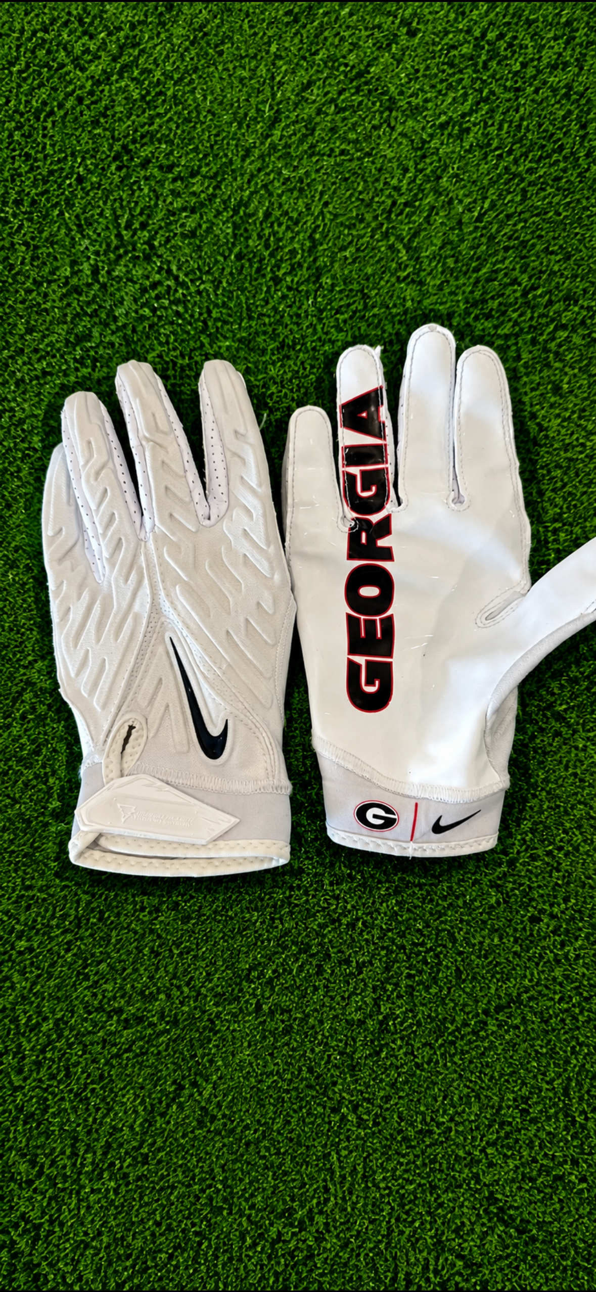 WHITE UGA
